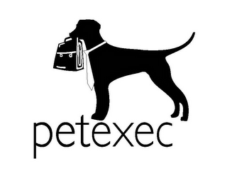 PETEXEC logo
