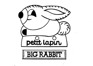 PETIT LAPIN BIG RABBIT logo