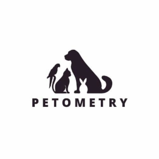 PETOMETRY logo