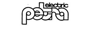 PETRA ELECTRIC logo