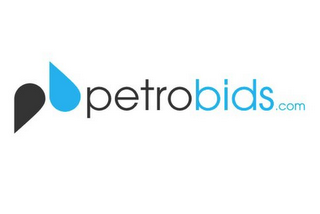 PETROBIDS.COM logo