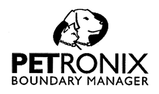 PETRONIX BOUNDARY MANAGER logo