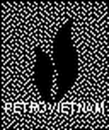 PETROVIETNAM logo