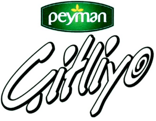 PEYMAN CITLIYO logo