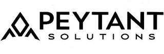 PEYTANT SOLUTIONS logo