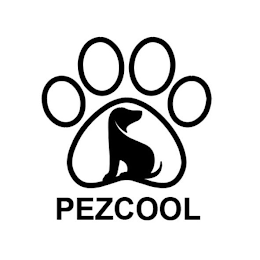 PEZCOOL logo
