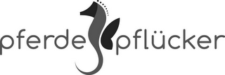 PFERDE PFLÜCKER logo