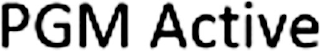 PGM ACTIVE logo