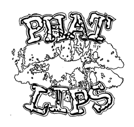 PHAT LIPS logo
