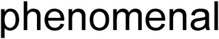 PHENOMENAL logo