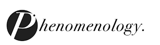 PHENOMENOLOGY. logo
