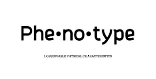 PHE·NO·TYPE 1. OBSERVABLE PHYSICAL CHARACTERISTICS logo