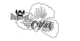 PHENTEX ORCHIDEE logo