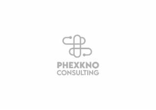 PHEXKNO CONSULTING logo