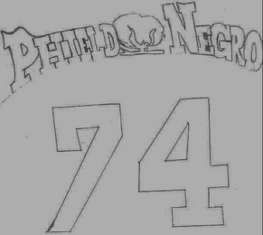 PHIELD NEGRO 74 logo