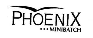 PHOENIX MINIBATCH logo