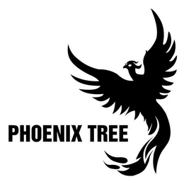 PHOENIX TREE logo