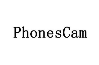 PHONESCAM logo