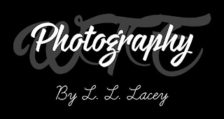 PHOTOGRAPHY BY L. L. LACEY WTE logo
