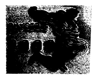 PHYSIQUE 2000 logo