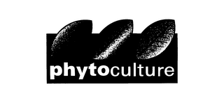 PHYTOCULTURE logo