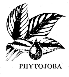 PHYTOJOBA logo