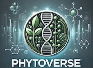 PHYTOVERSE logo