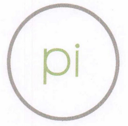 PI logo