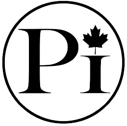 PI logo