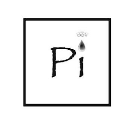 PI logo