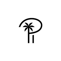 PI logo
