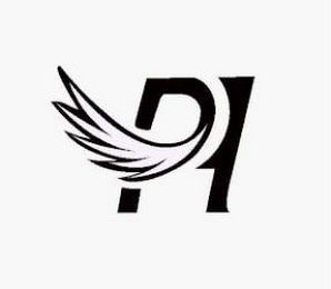 PI logo