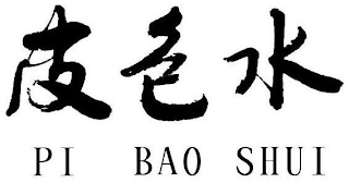 PI BAO SHUI logo