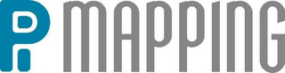 PI MAPPING logo