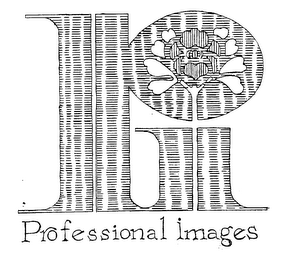 PI PROFESSIONAL IMAGES logo