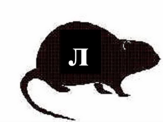PI RATS logo