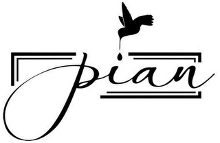 PIAN logo