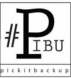 #PIBU PICKITBACKUP logo