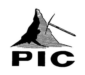 PIC logo