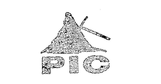 PIC logo