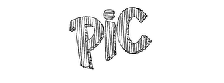 PIC logo