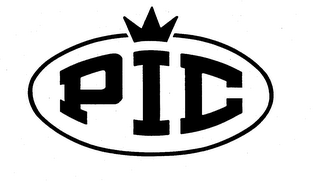 PIC logo
