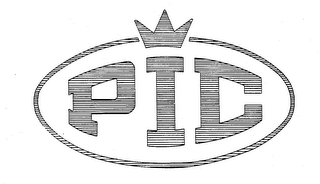 PIC logo