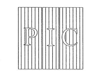 PIC logo