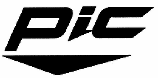 PIC logo