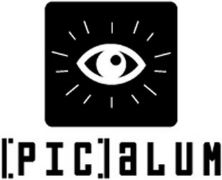 PIC ALUM logo