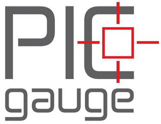 PIC GAUGE logo