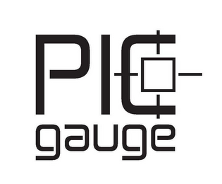 PIC GAUGE logo