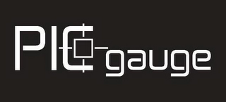 PIC GAUGE logo