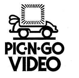 PIC-N-GO VIDEO logo